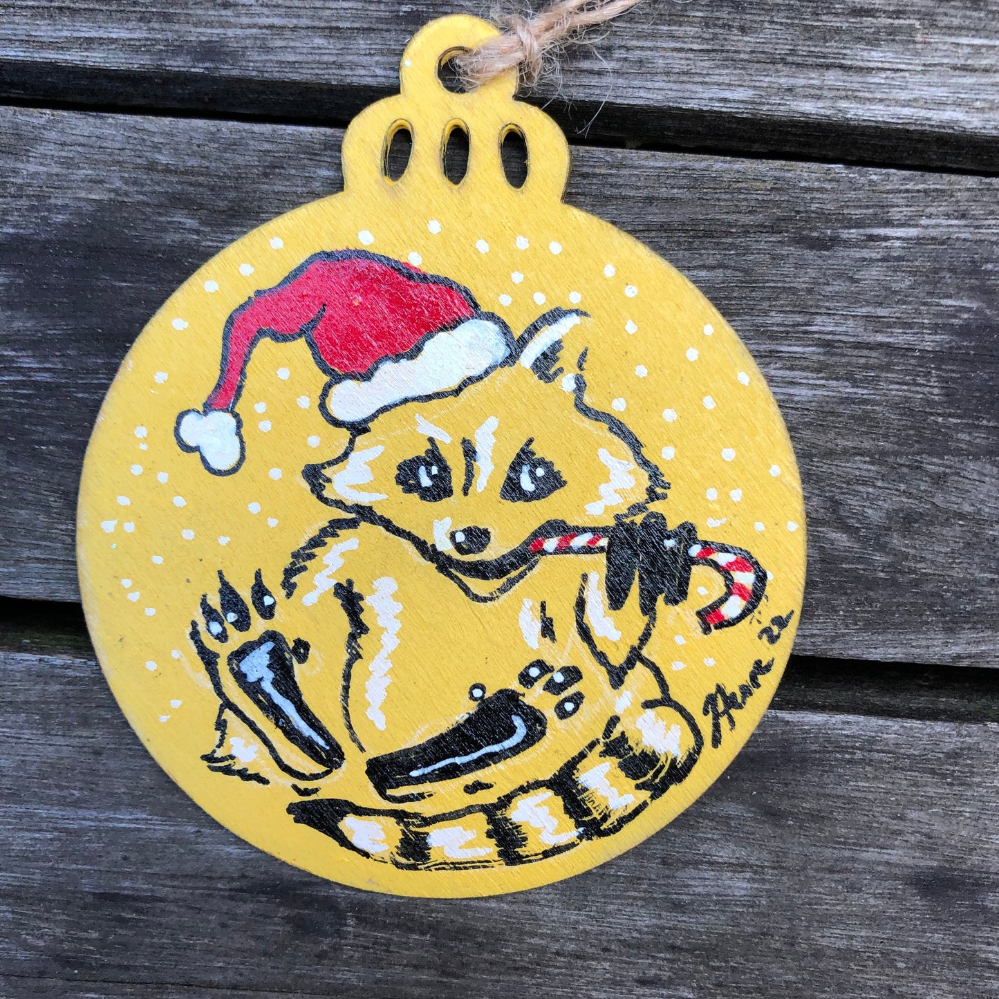 Raccoon ORNAMENTS in