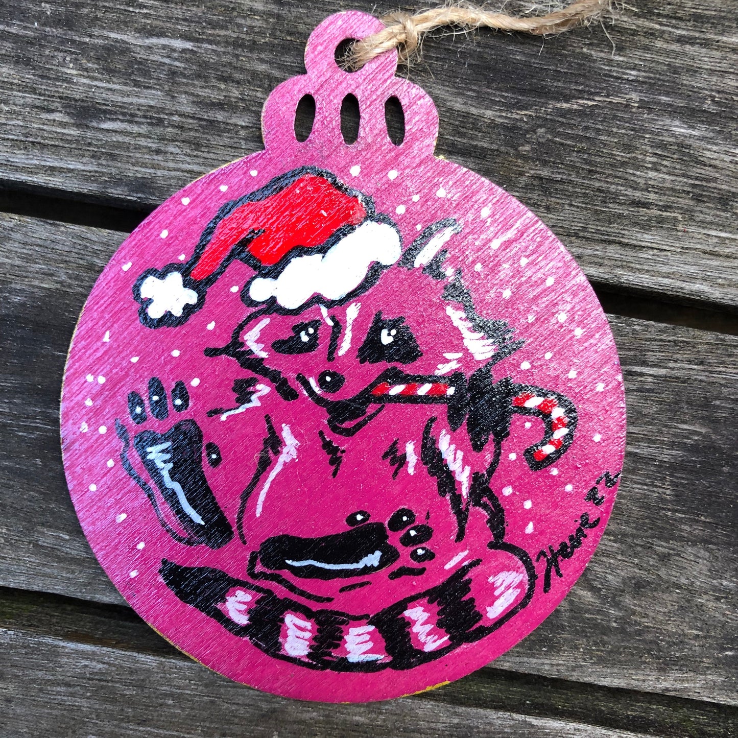 Raccoon ORNAMENTS in