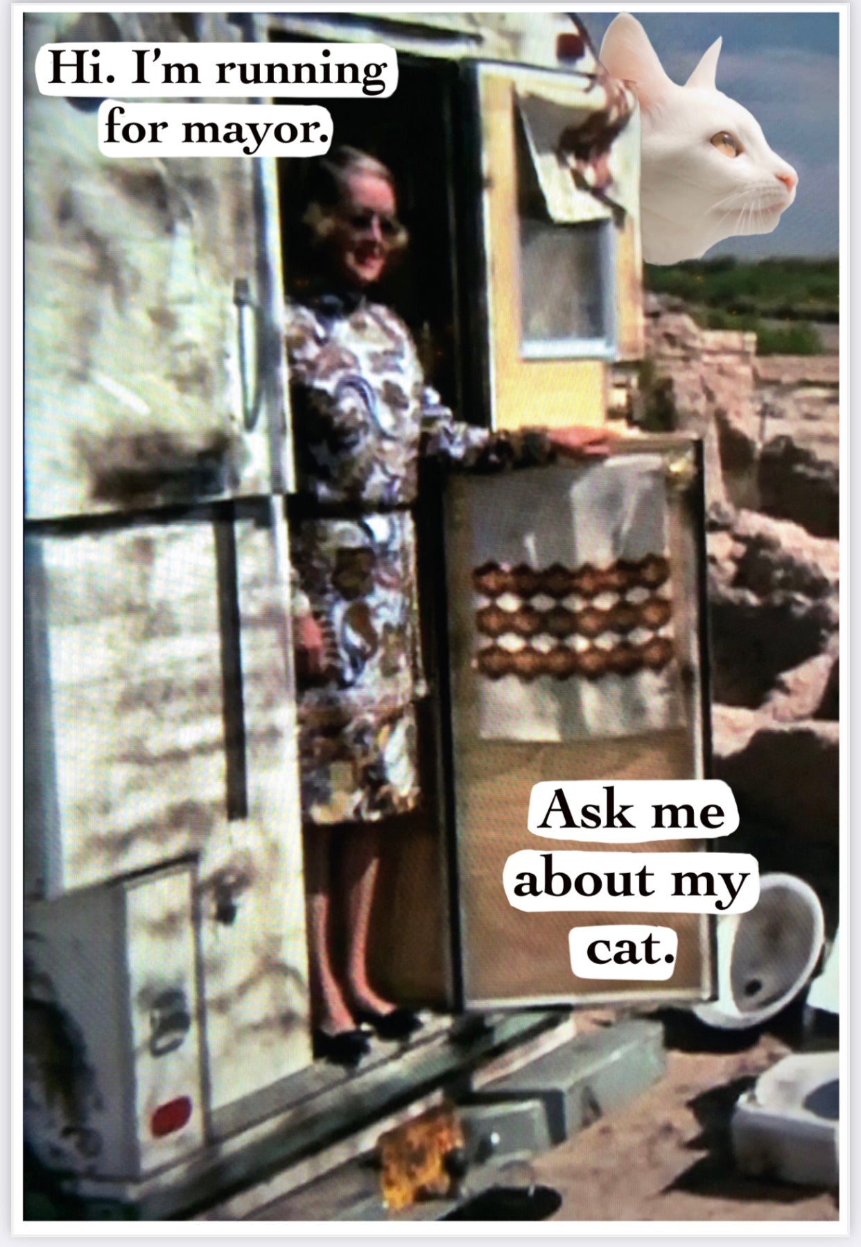 Cat Mayor POSTCARD/ PRINT/ CARD